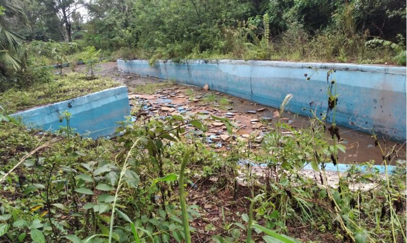 camping municipal 25 de Mayo