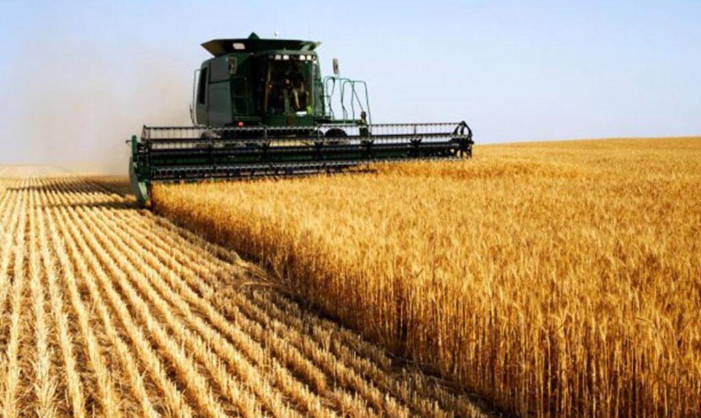 retenciones cero exportaciones agroindustriales