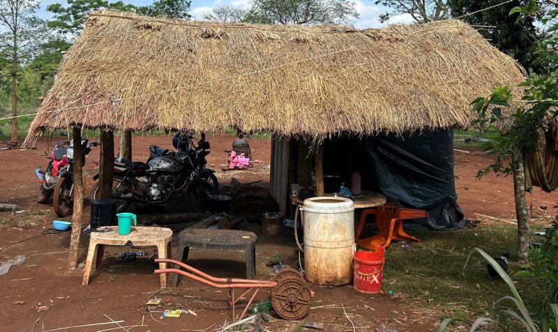 homicidio mbya Puerto Iguazú