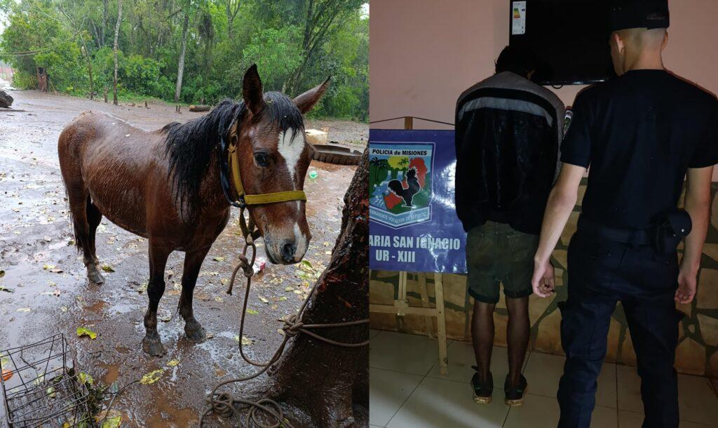 Robo de caballo en San Ignacio
