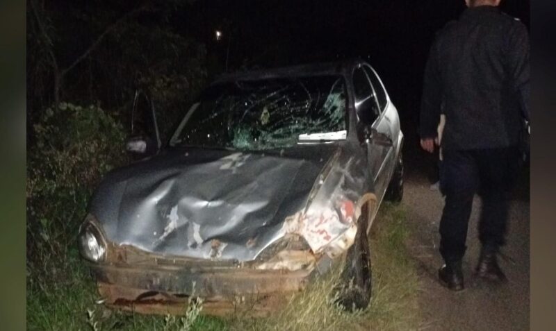 accidente auto vaca Cerro Corá