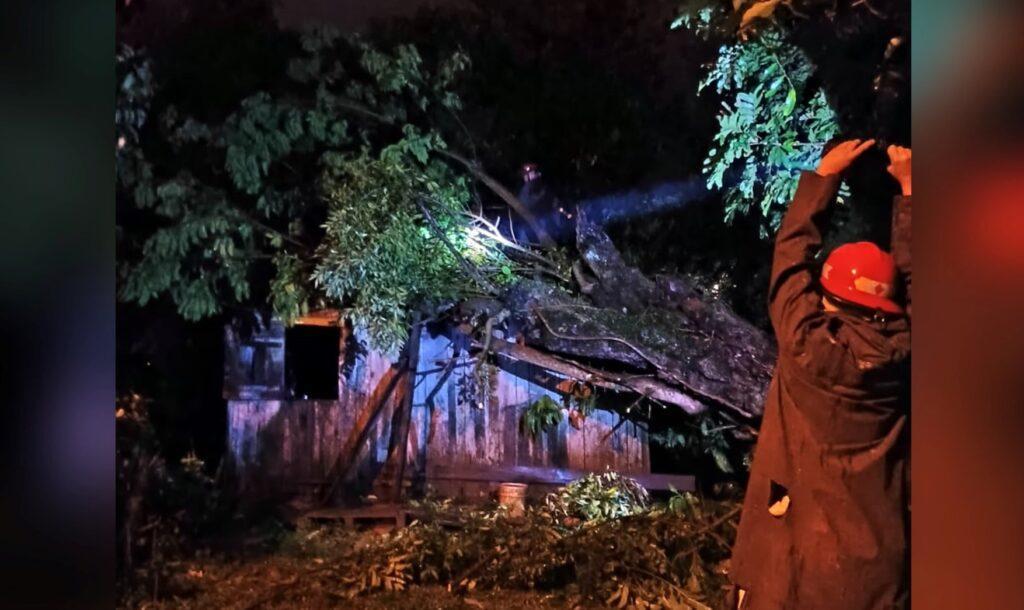 Árbol cayó casa en Oberá