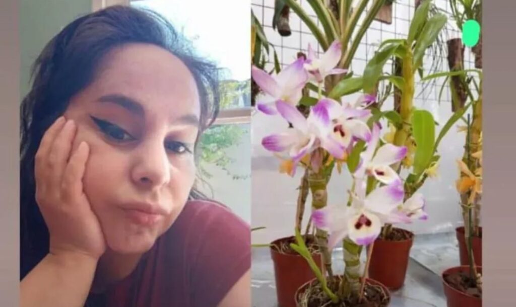 discriminación Fiesta de la Orquídea