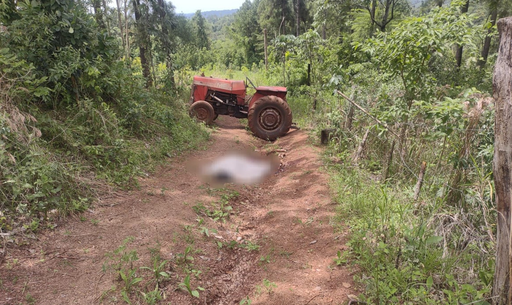 atropellada tractor san antonio