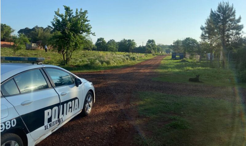 niño atacado pitbull santa clara