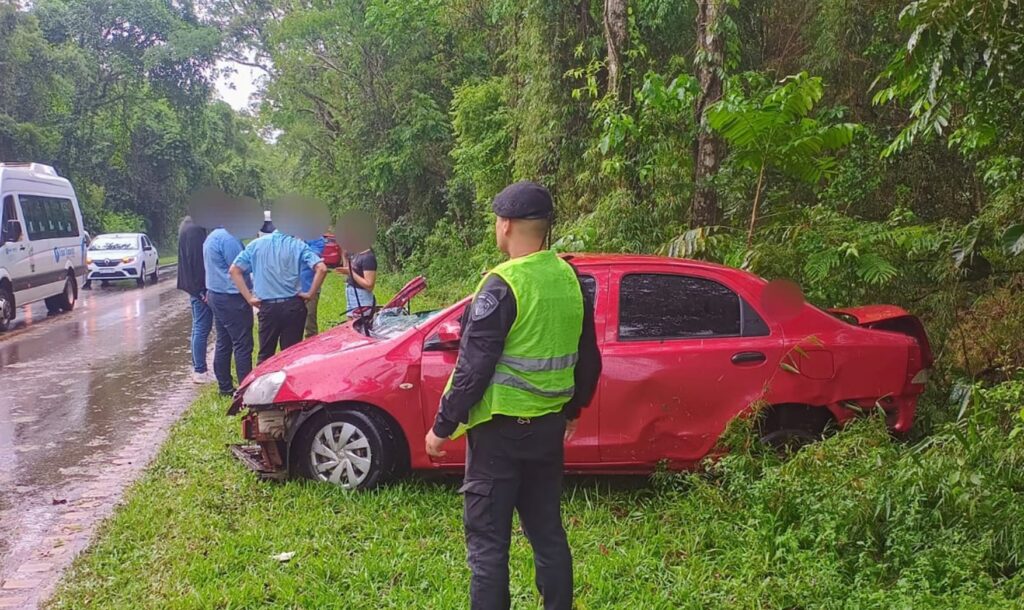 chocar arbol ruta 101 iguazu