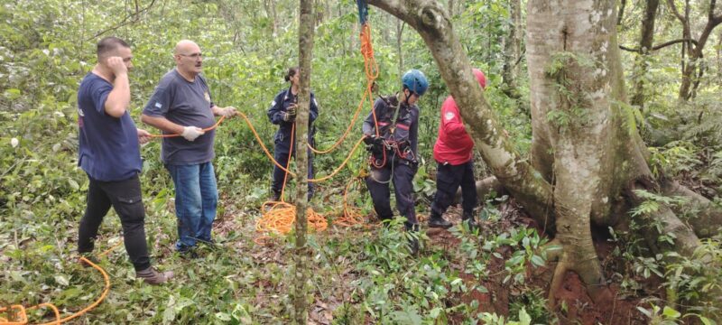 joven perro pozo rescate iguazu