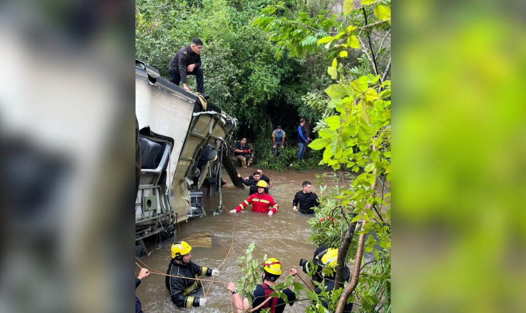 fallecidos campo viera colectivo