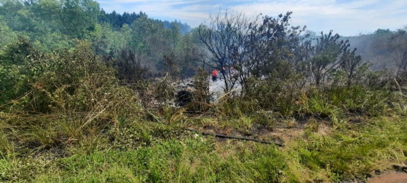 empresario Oberá accidente Porsche Cayenne