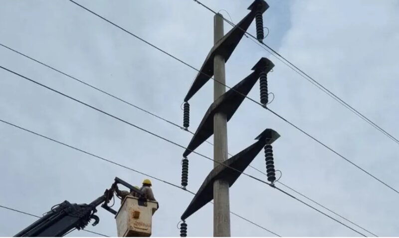 audiencia publica alta tension alem