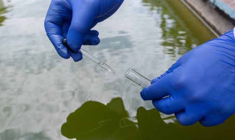 agua arsenico buenos aires