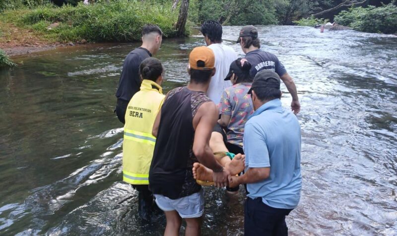 cayo salto Tamandúa los helechos