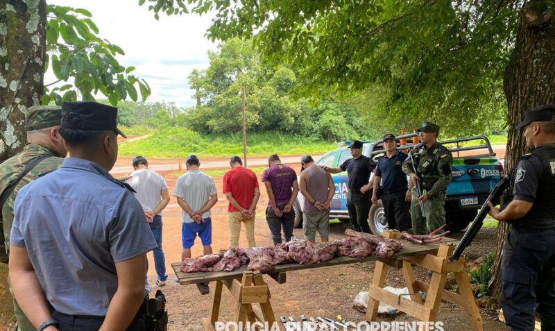 liebig detenido ciervo