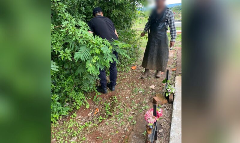 herramientas robadas cementerio san javier