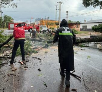 temporal posadas daños