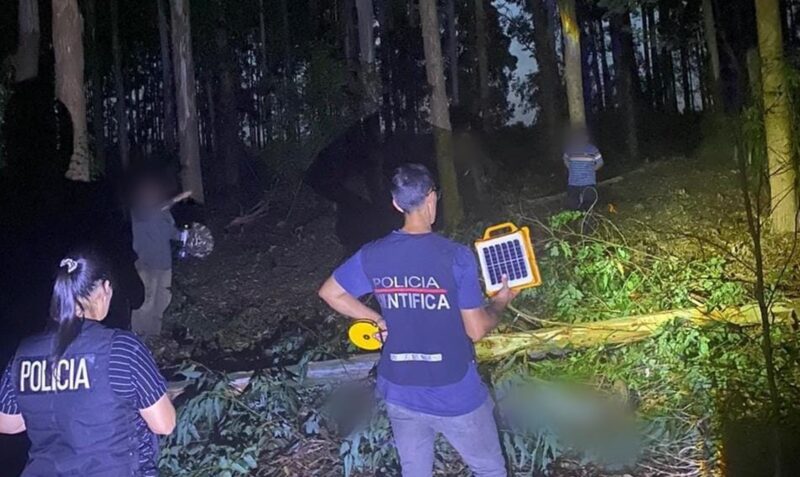 ruiz de motoya golpeado eucalipto