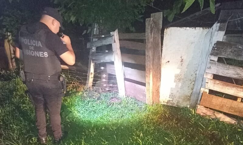 ataque perro San Antonio frontera