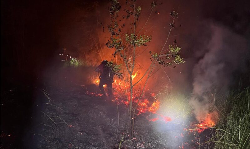 incendio pinar panambi