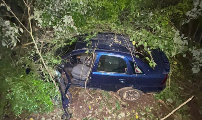 despisto paraje progreso ruta 2