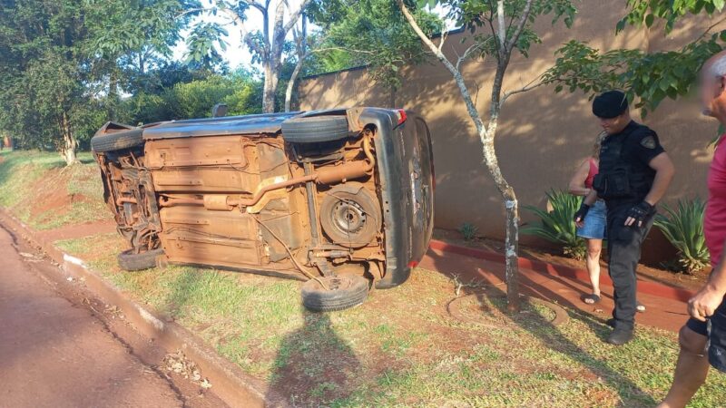 despistar weber puerto rico