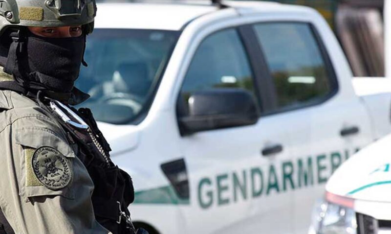 incautación marihuana San Vicente Gendarmería Nacional Ruta 14 Misiones