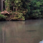 Un adolescente de 16 años murió ahogado en el arroyo Yabebirí