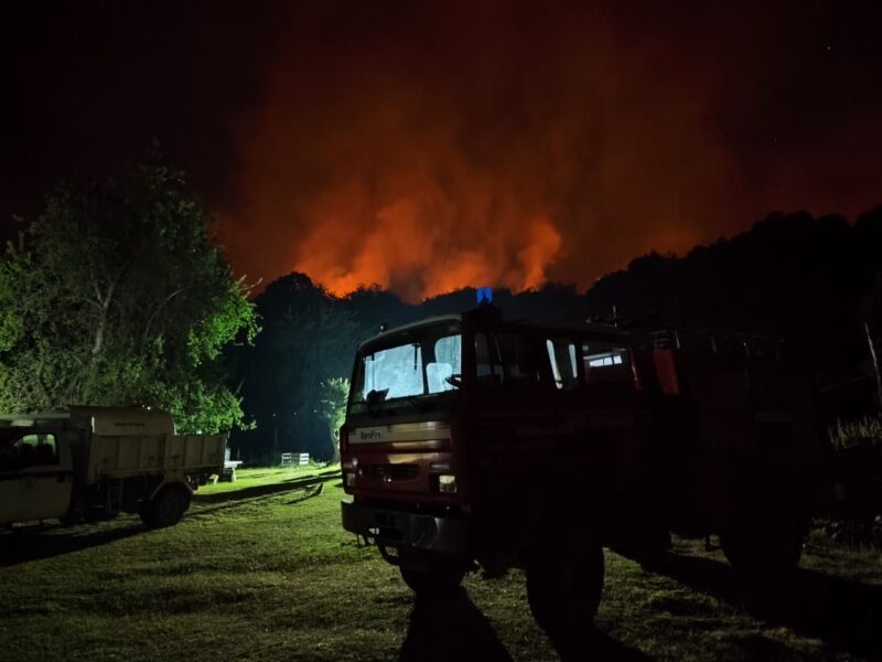 Incendios forestales en Chubut