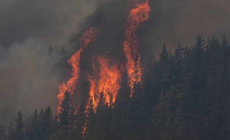 fondos incendio patagonia