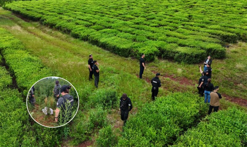 crimen Hugo Von Steiger Oberá machete ropa sangre Alvear