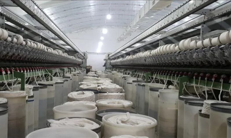 crisis industria textil Emilio Alal Grupo Dass Eldorado despidos Misiones