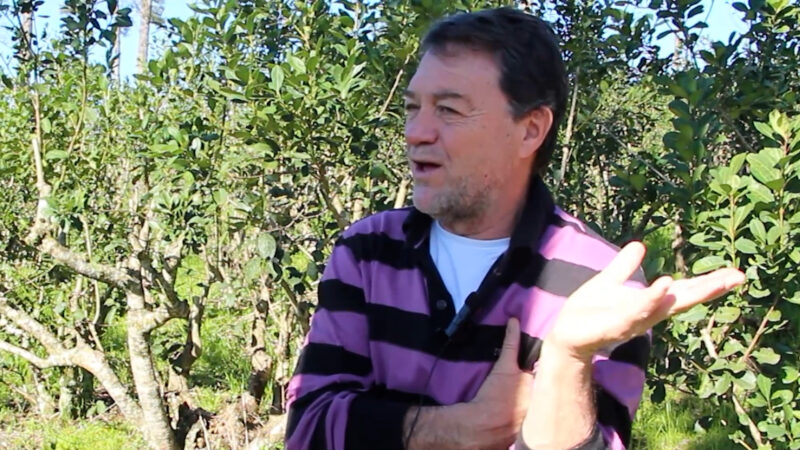 Cacho Bárbaro Milei guampas Andresito