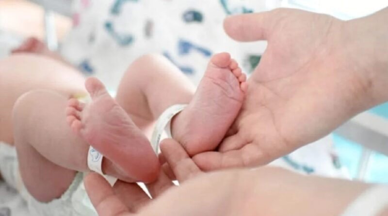 caída natalidad Argentina 2024 2025 tasa fecundidad