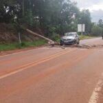 Ruta 101: un enorme eucaliptus se desplomó sobre un auto en movimiento