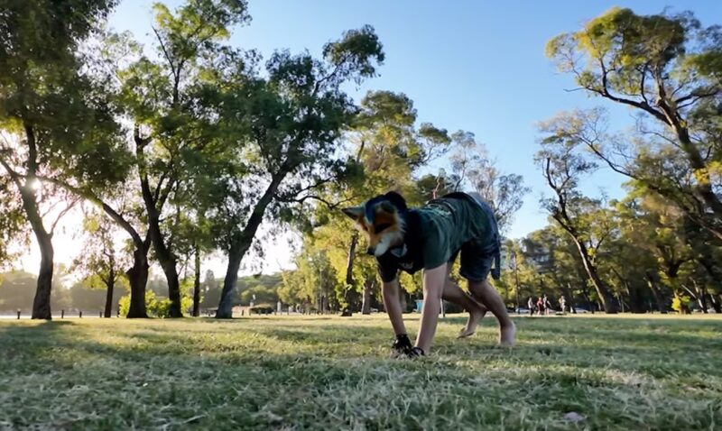ataque therian Jesús María Córdoba joven mordida