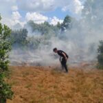 ¡A metros de un galpón de camiones! Bomberos y policías evitaron que un incendio de malezas pasara a mayores