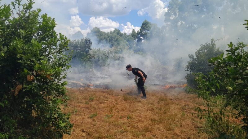 incendio malezas Leandro N Alem kilómetro 38