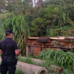 San Vicente: una Ford F100 despistó sobre la Ruta 14 y su conductor terminó herido