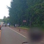 Tragedia en la Ruta 12: un motociclista de 64 años perdió la vida tras chocar con un auto en Montecarlo