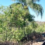 Buscan a un hombre que salió a pescar en canoa y desapareció en el Pindapoy