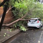 Alerta por temporal: ráfagas de viento causaron destrozos, caídas de árboles y voladuras de techos en la capital