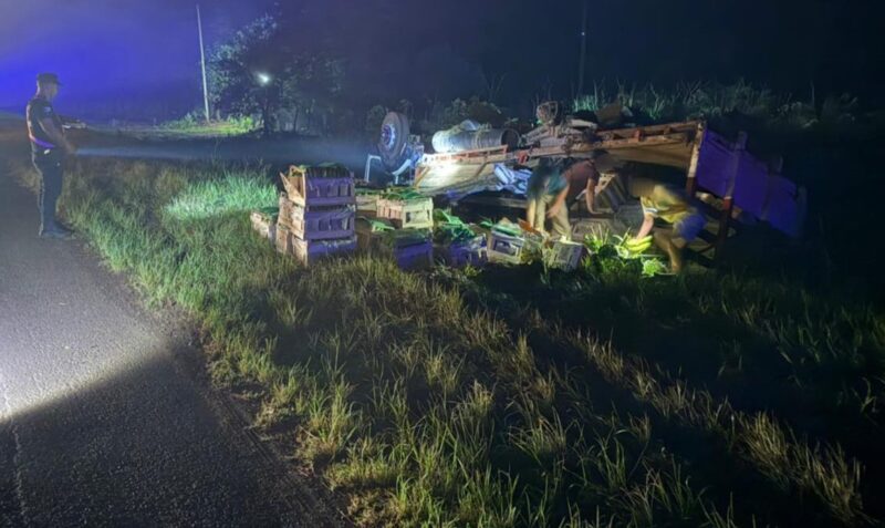 vuelco de camión en Colonia Mado Ruta 12