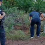 Hallazgo y misterio en 25 de Mayo: la policía verificó restos de un yacaré tras una denuncia en redes sociales