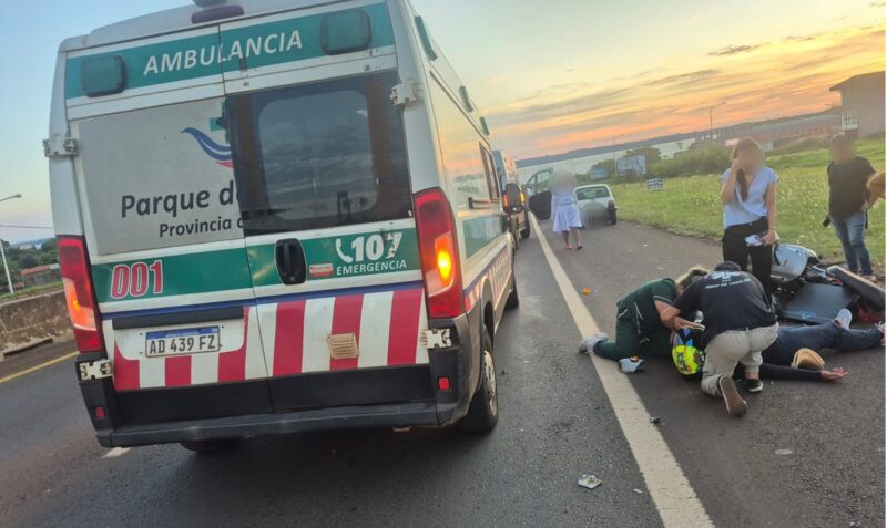 Choque Acceso Sur Posadas perro