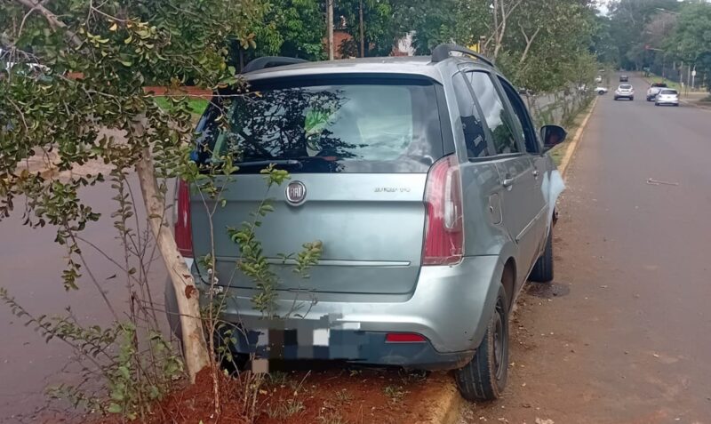 Siniestro vial Posadas Avenida San Martín Fiat Idea despiste boulevard