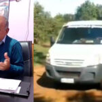 Escándalo en Guaraní: denuncian matanza de perros del municipio