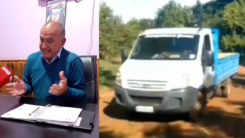 perros refugio guarani