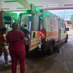 Terror en Posadas: un niño de 7 años fue atacado por siete perros y está hospitalizado