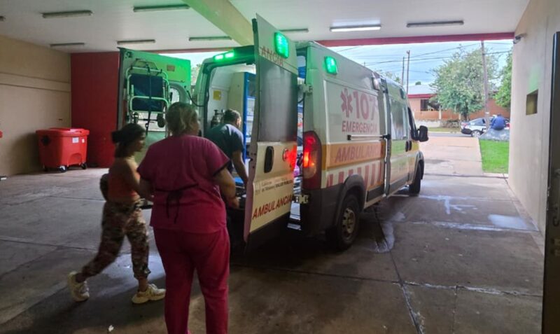 Ataque perros Posadas niño herido Chacra 109