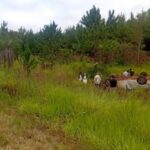 Siniestro vial en Santa Ana: una mujer de 32 años fue derivada al Hospital Madariaga tras volcar