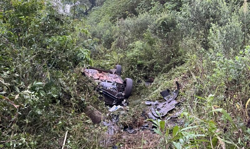 Despiste Ruta Provincial 19 Parque Urugua-í familia brasileña